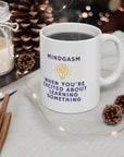 Do you love learning.Are you really smart? Great gift for that smart friend. Ceramic Mug 11oz Mindgasm!
